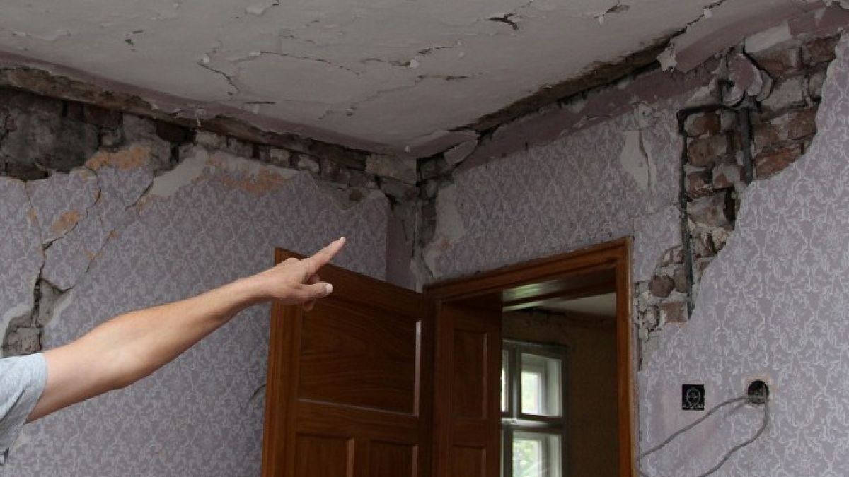 Дивотинци измират от стрес 