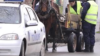 Заловиха мъж, отсякъл 230 липи 