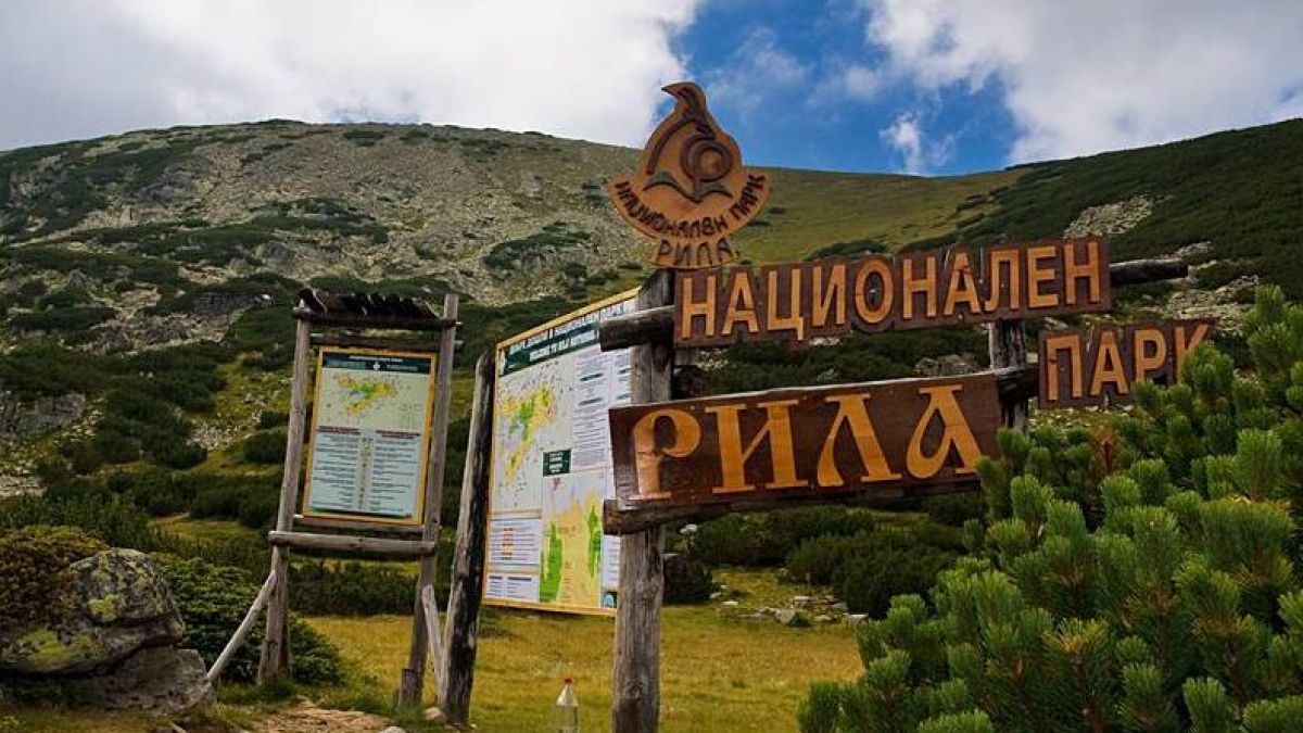 Екшън в парк „Рила”! Побеснял шофьор счупи бариерата, преби охраната
