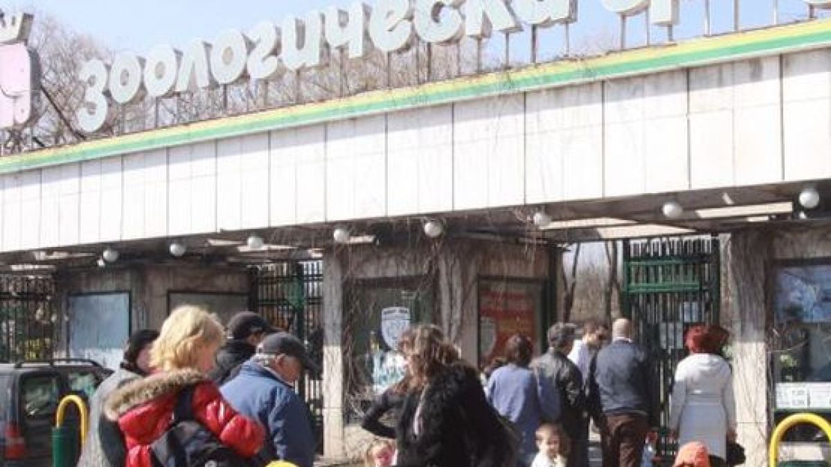 Фураж убива животните в зоопарка