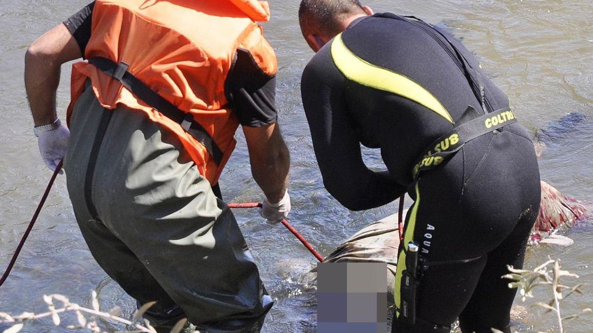 Трупът, изплувал край Зеленка, бил в морето три седмици 