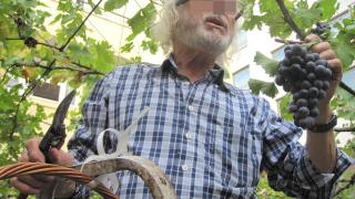 Вижте трогателната история на Жеко Желев и унищожената му асма