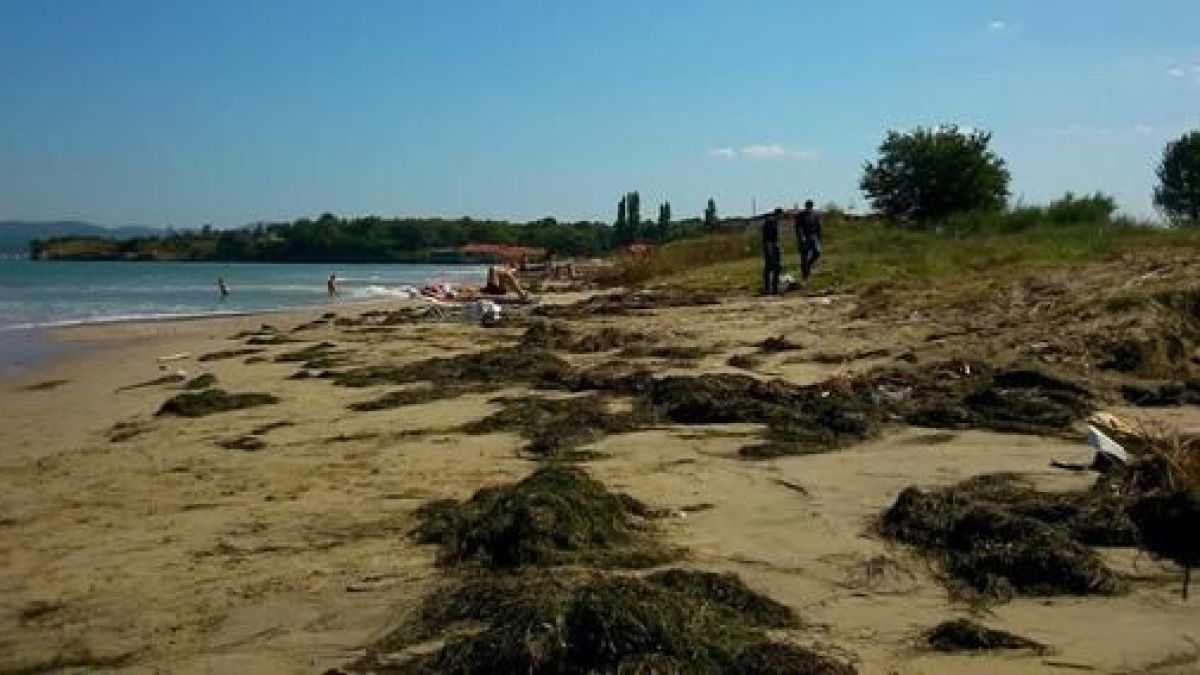 Плажът в Крайморие вони, начупени ръждясали чадъри стърчат от пясъка (СНИМКИ)
