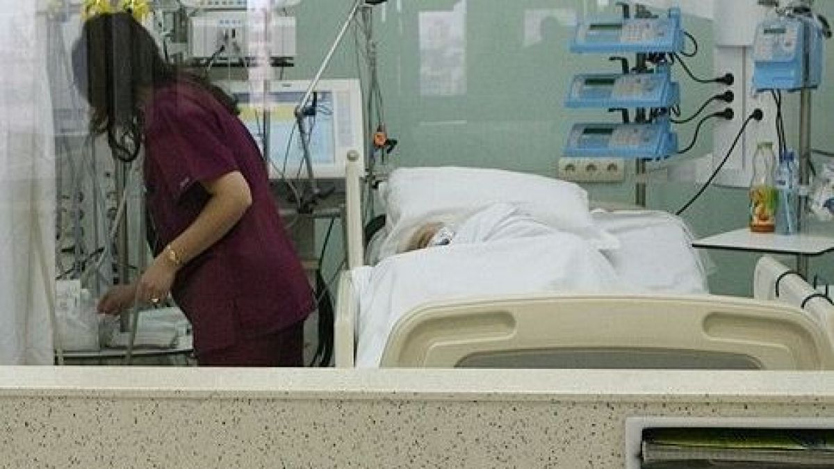 Пловдивските токсиколози: Не берете гъби, клиниката се напълни с натровени