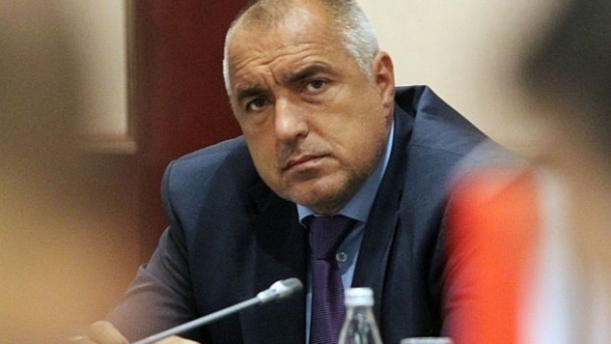 Бойко: Не изнесем ли телетата и агнетата навреме, стават крава, бик или овен