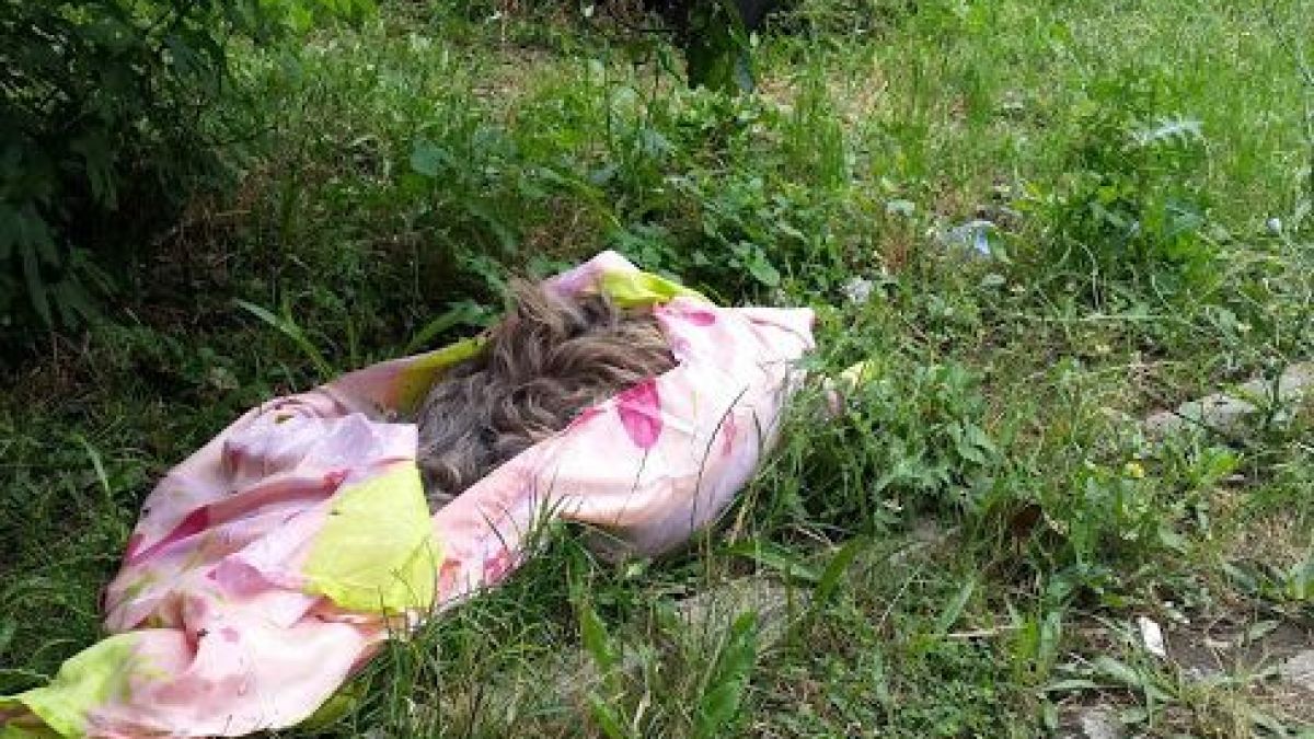 Умряло куче вмириса центъра на Кърджали