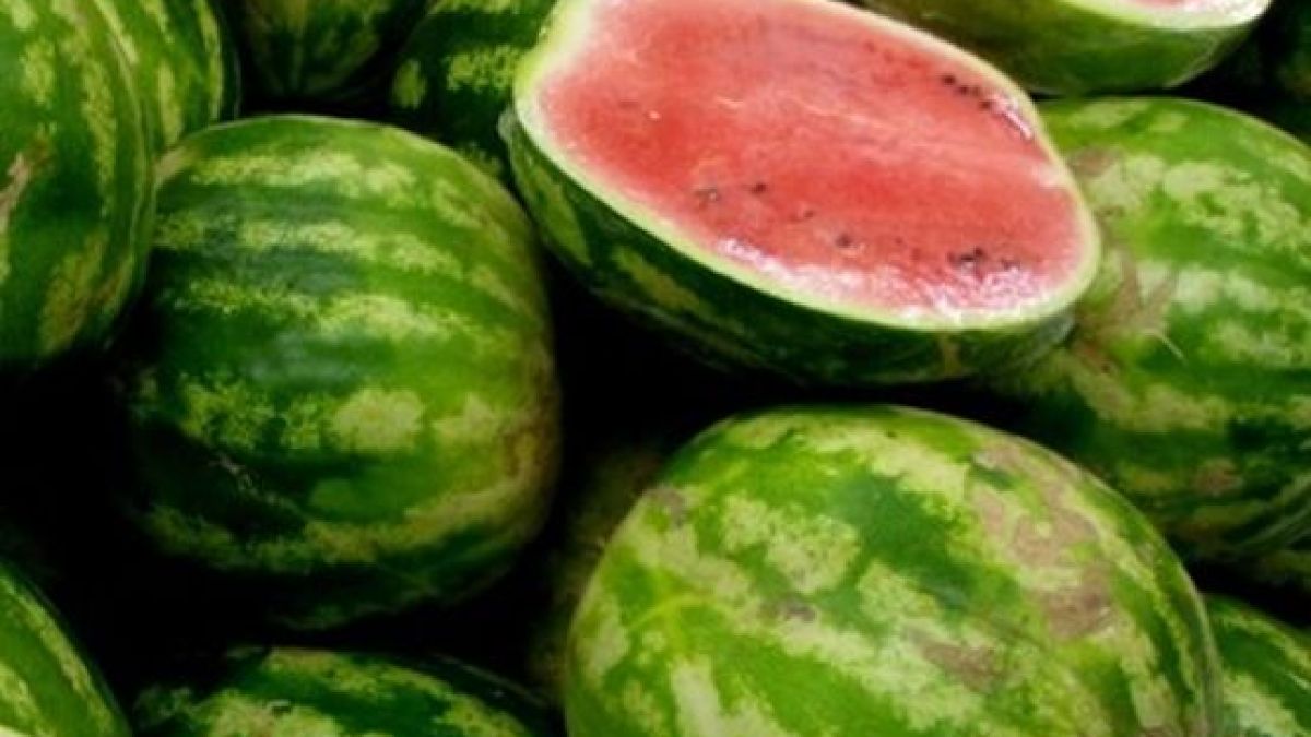 Агрономи предупредиха: Отровни дини заливат българския пазар
