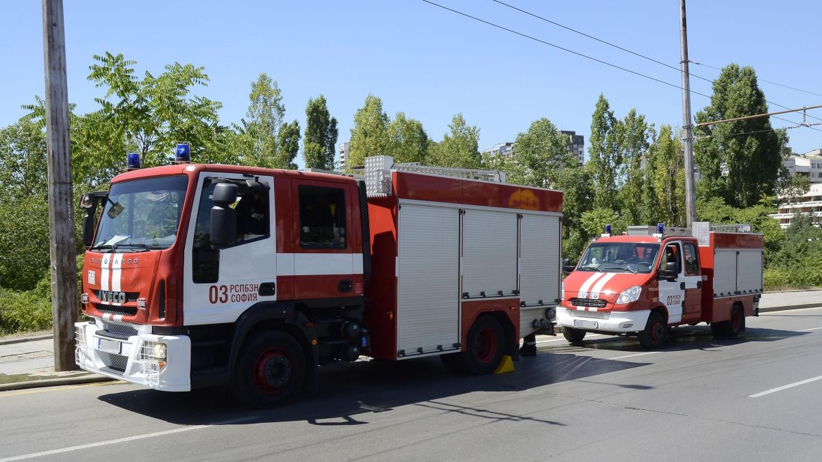 80 овце отидоха курбан в голям пожар