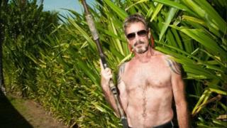 Арестуваха създателя на антивирусната програма McAfee