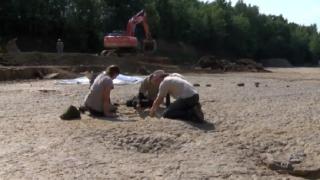 В Германия откриха невиждани досега огромни отпечатъци на динозавър (ВИДЕО)