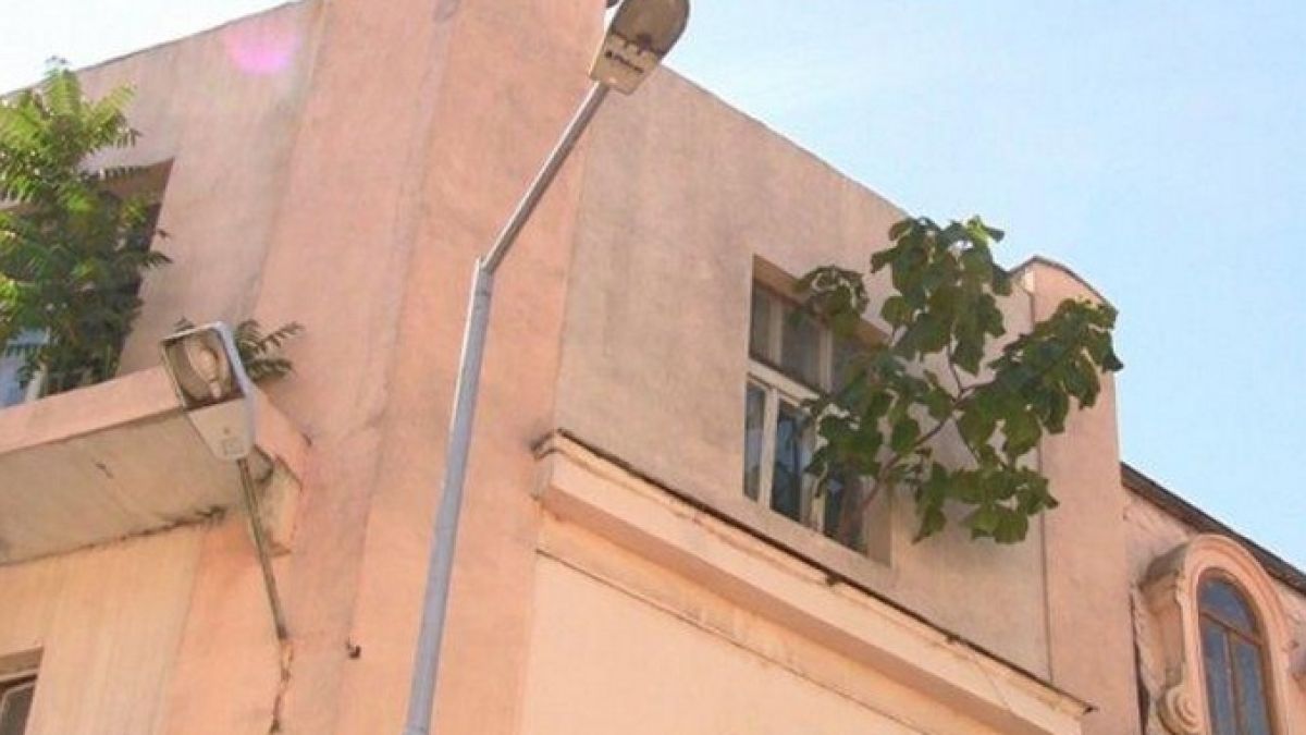 Аномалия: Дърво расте наопаки на тераса в Центъра на Бургас