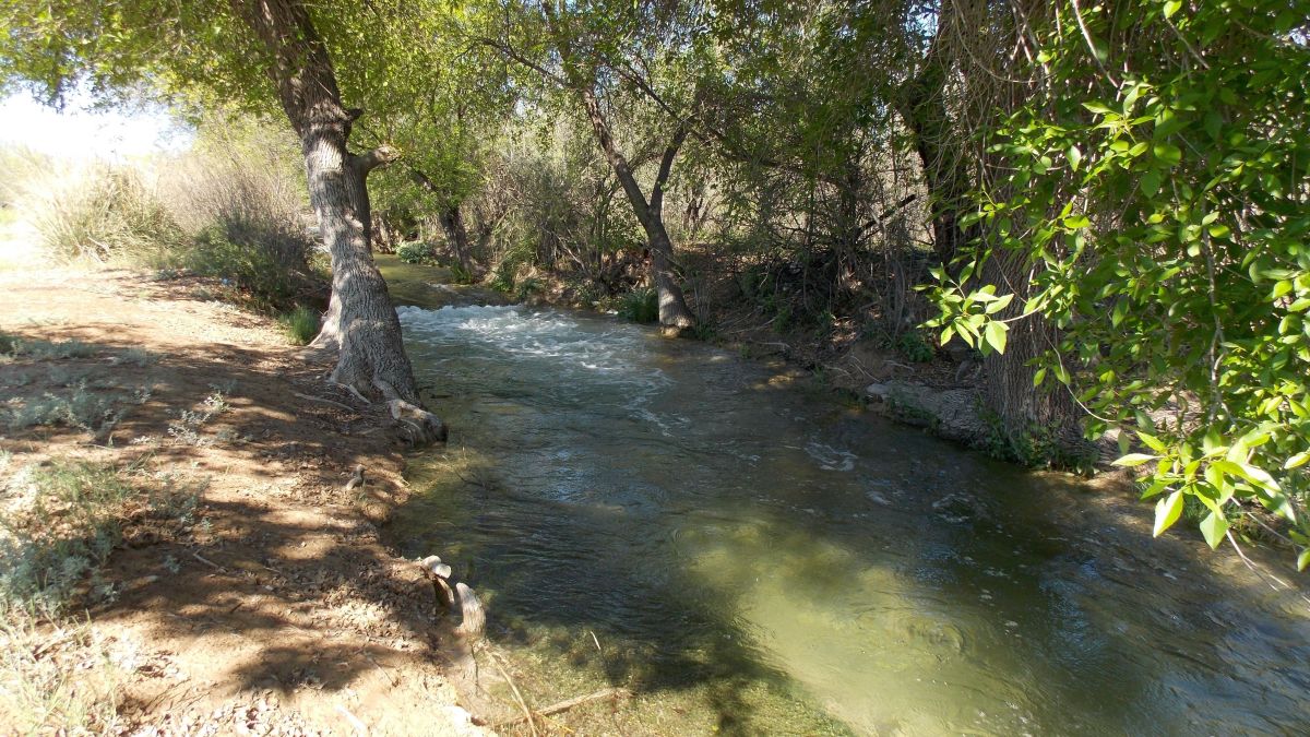 Водолази извадиха удавник от водите на Струма