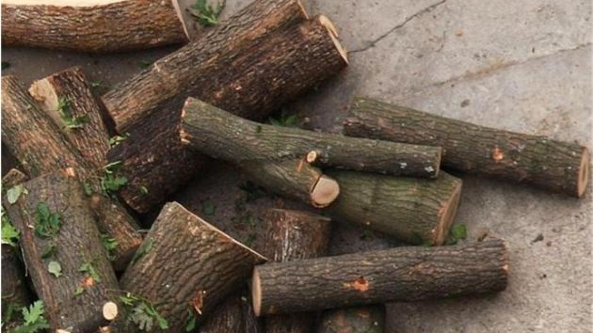 Цигани изхвърлиха горски служители от конфискуван камион