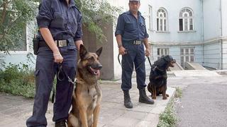 За първия учебен ден: Полицаи с кучета душат раниците 