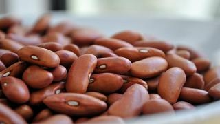 Какво се случва с тялото ви, ако ядете боб всеки ден