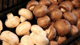 Излекувайте грипа с... гъби! Ето как