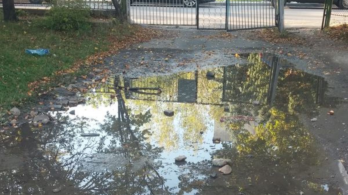 Родители изпищяха: Опасности дебнат децата ни по пътя към училище