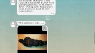 Заваляха брутални заплахи след разследване на БЛИЦ за нелегалните кучешки боеве! (СНИМКИ/ВИДЕО)