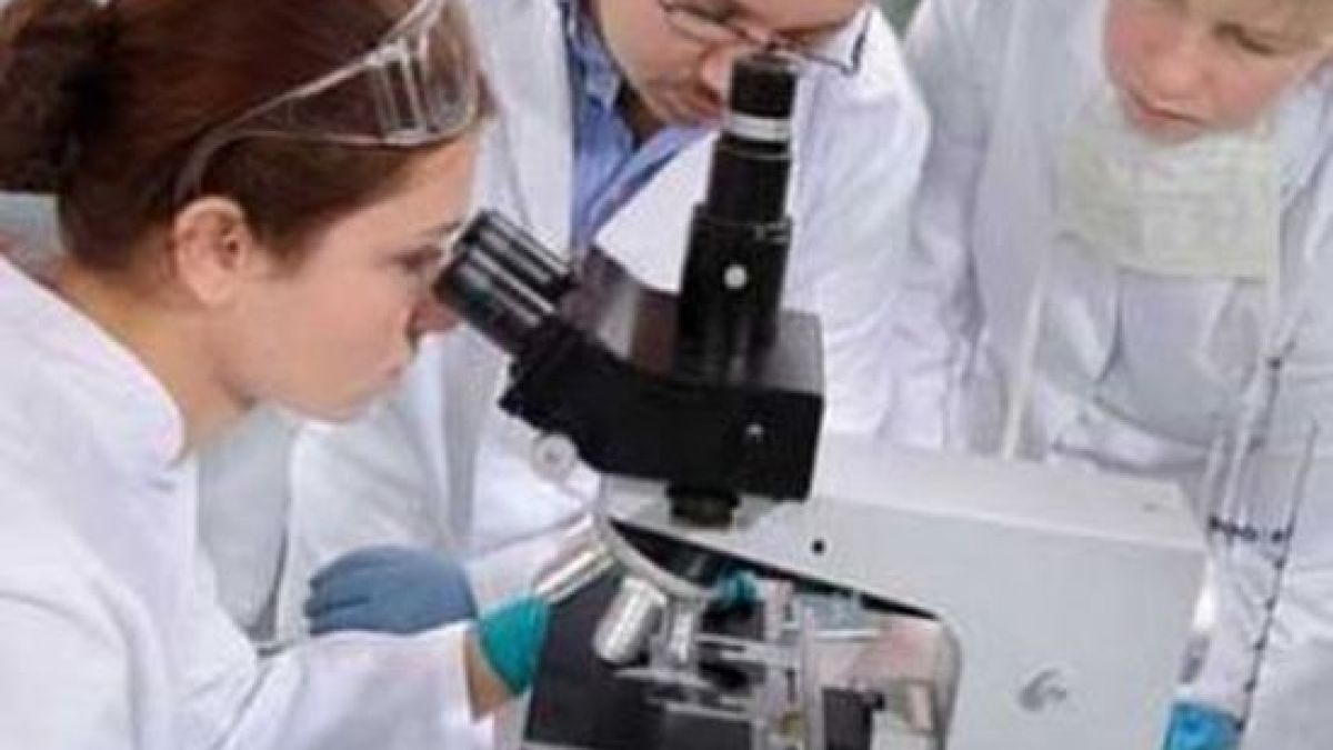 Американски учени създадоха изкуствен мозък от стволови клетки