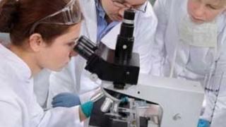 Американски учени създадоха изкуствен мозък от стволови клетки