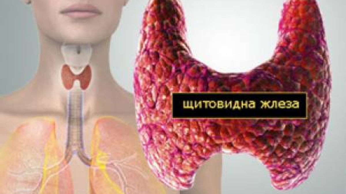Не подминавайте тези симптоми! Те издават, че щитовидната ви жлеза не е добре