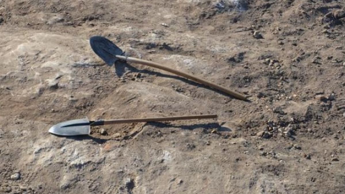 250 иманярски банди рушат историческото ни наследство  
