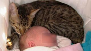 Ужасно нелепо! Домашна котка задуши двумесечно бебе