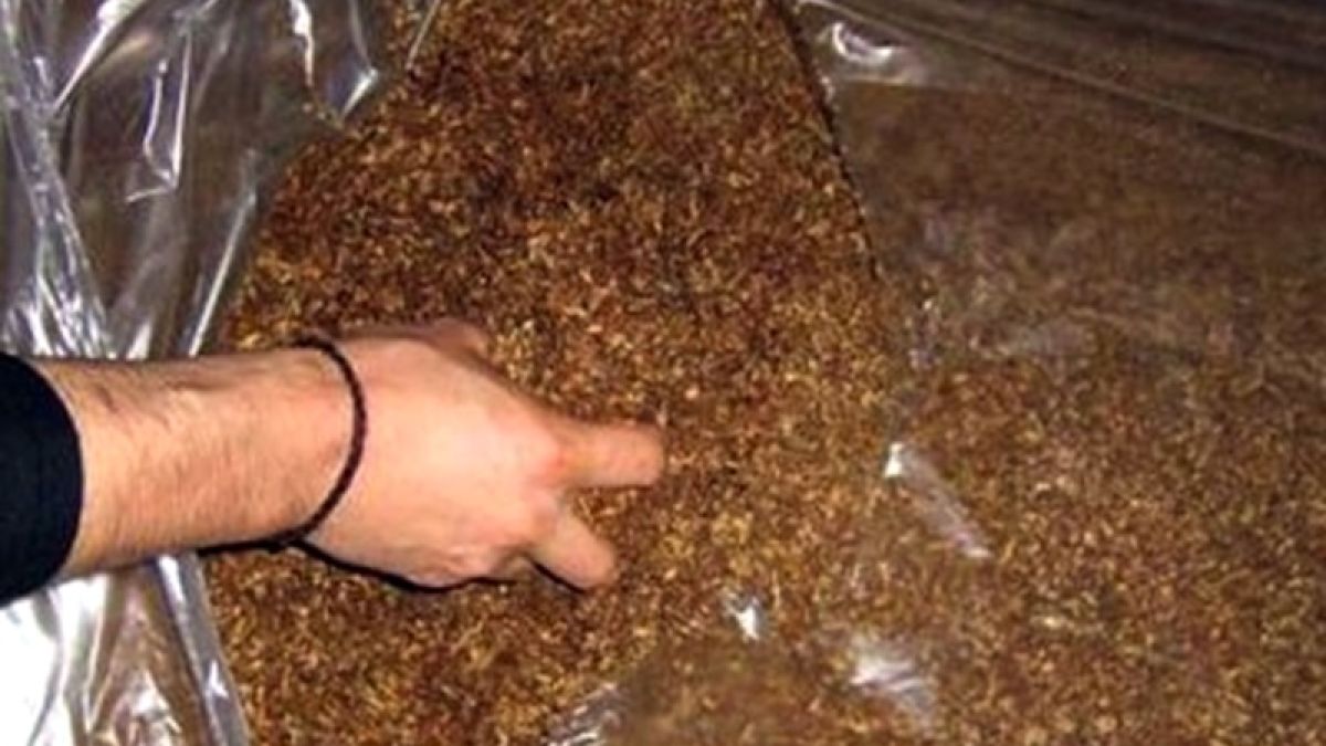 На "Кулата" спряха наш ТИР с контрабанден тютюн за 2,5 милиона лева