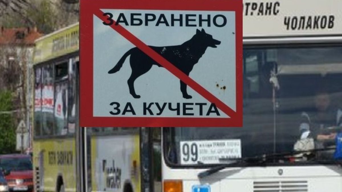 Безумията нямат край! Кондуктор изхвърли куче водач от автобус, било огромно колкото куфар!