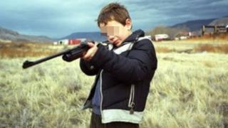 11-годишен уби домашно куче с въздушна пушка