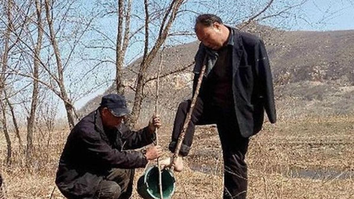Слепец и мъж без ръце посадиха 10 000 дръвчета (СНИМКИ)