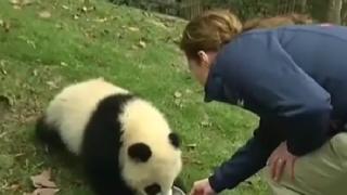 Създадоха най-уникалната детска градина (ВИДЕО)