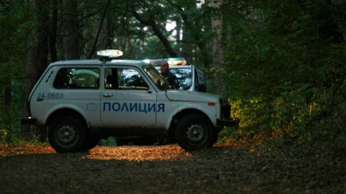 Пиян насъска 100-килограмов кангал срещу полицаи в Сапарева баня