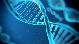 Microsoft създава памет на база ДНК