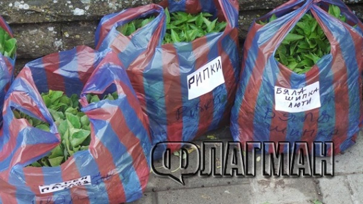 На пазара в Бургас: СлаТки лимонки, ИдИал и ГлаТки камби (СНИМКИ)