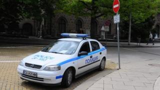 Разследват жестоко убийство на домашно куче на Старозагорските бани
