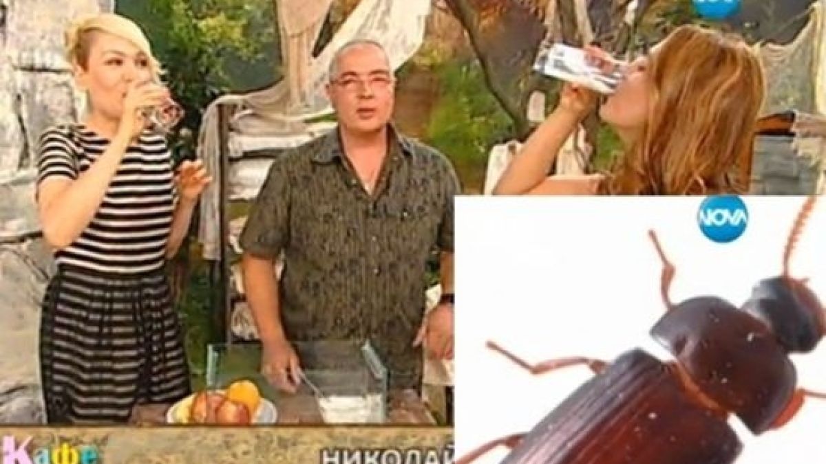 Гадост! Гала налапа... живи бръмбари (СНИМКА)