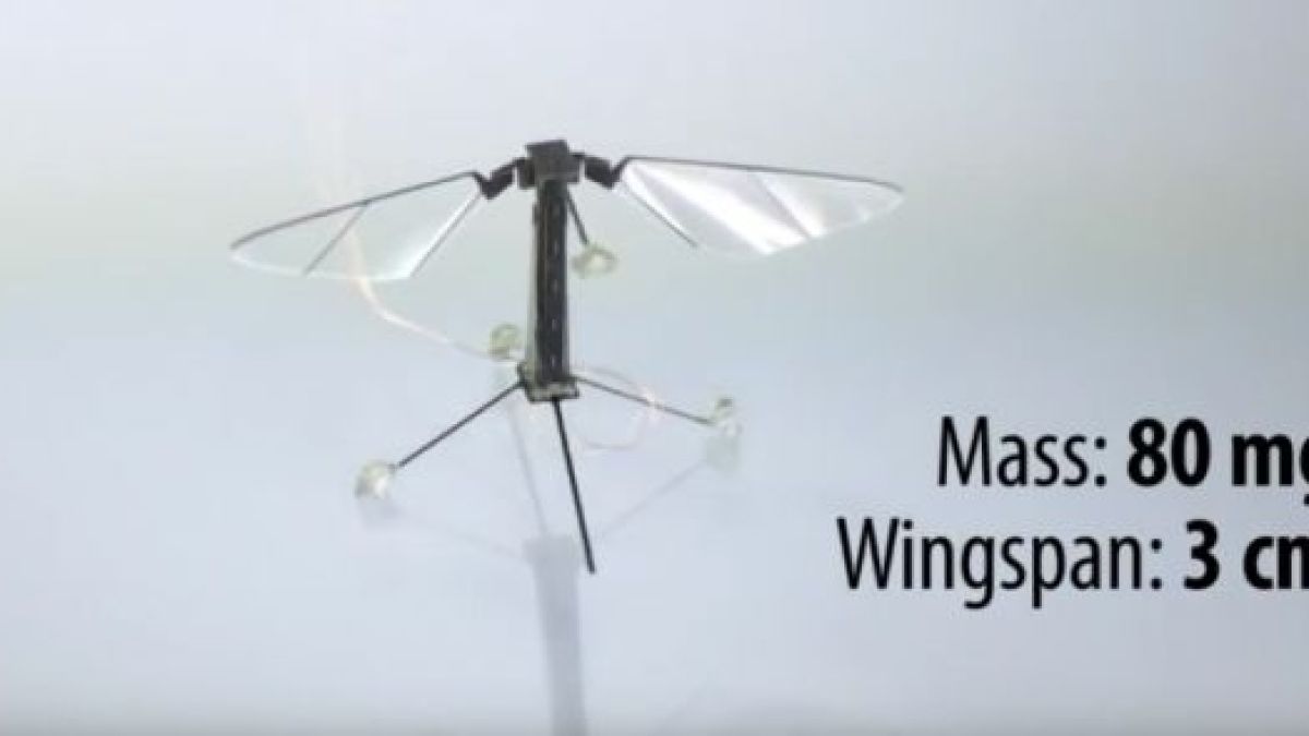 Пчелите-роботи, които ще спасят Земята (ВИДЕО)