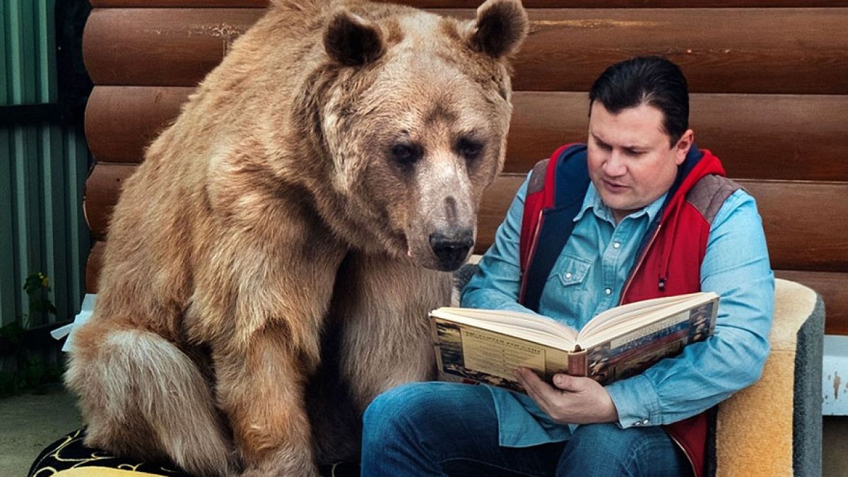 Руска двойка осинови... мечка! 23-годишният Стефан играе футбол, пие чай и обича да гледа телевизия (СНИМКИ/ВИДЕО)