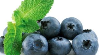 Еликсирът на младостта на проф. Ефимов, с който ще се преродите