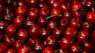 Диетолог обясни как се „обезопасяват“ черешите и кой не трябва да ги яде