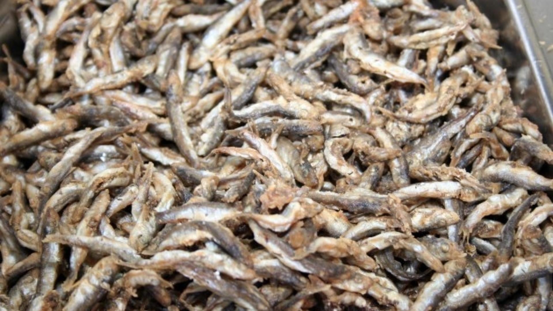 Цаца, ама златна: Капанчета ни дерат с нечувани надценки 