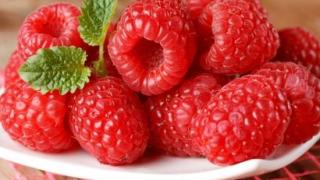 Производителите на ягоди и малини проплакаха: Няма работници, няма плодове