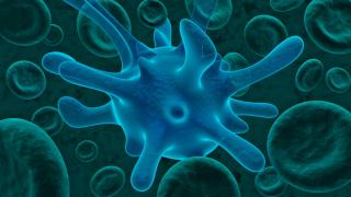 Месоядна бактерия уби четирима души