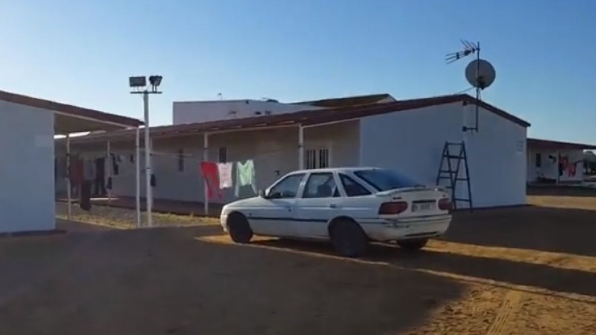 Ужасяващ разказ на българка, малтретирана като робиня в ягодова плантация (ВИДЕО)