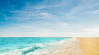 Каква гнус има в морската вода? (СНИМКА) 