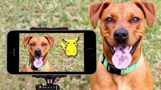 Светът тотално изтрещя: Играта Pokemon Go е най-тегленото приложение 
