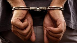 Лоши новини за алоизмамниците, докарани от Румъния