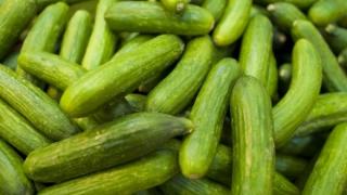 Шок! Няма да повярвате каква цена удариха краставиците на пазара 