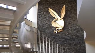 След 5 години борба Playboy осъди холандски сайт